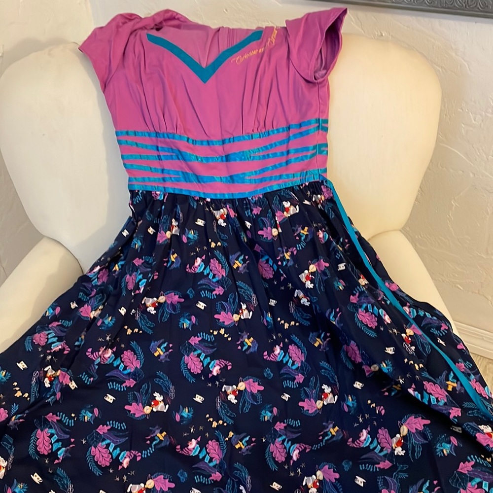 Disney, the dress shop, Alice size medium